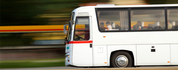 Permís D1 et permet conduir autocars i autobusos